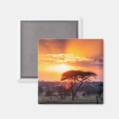 セレンゲティ国立公園のサファリ マグネット (正面/裏面)