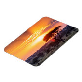 セレンゲティ国立公園のサファリ マグネット (左側)