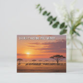 セレンゲティ国立公園タンザニアはがき ポストカード (スタンド正面)