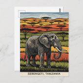 セレンゲティ国立公園タンザニア ポストカード (正面/裏面)