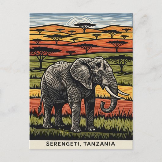 セレンゲティ国立公園タンザニア ポストカード (正面)