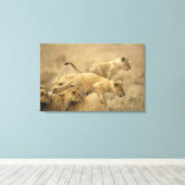 セレンゲティ国立公園，タンザニア2 キャンバスプリント (インサイチュ (ウッドフロア))