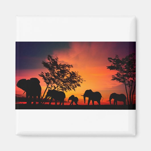 セレンゲティ・プレーンズのアフリカゾウ マグネット (正面)