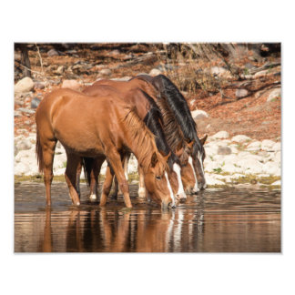 セレンディピティ フォトプリント           