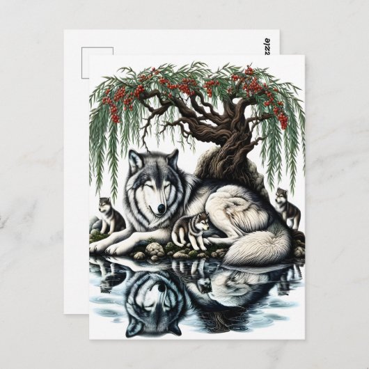 セレーヌウルフファミリーオアシスインアイディリック自然 ポストカード (正面/裏面)