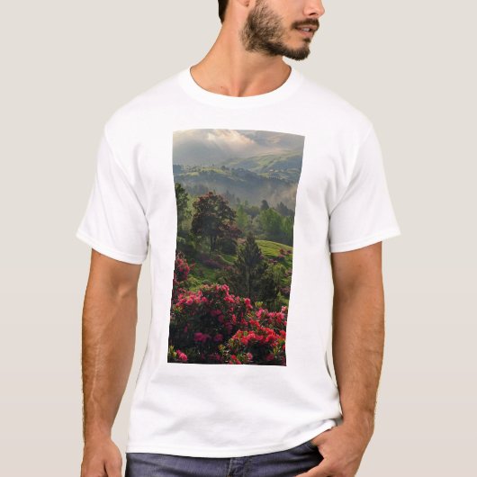 セレーヌマウンテン春自然シーンTシャツ Tシャツ (正面)