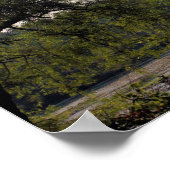 セレーヌマーシュアンドツリー自然 ポスター (角)