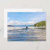 セレーヌレイクカヤックカヌー写真はがき ポストカード (正面/裏面)