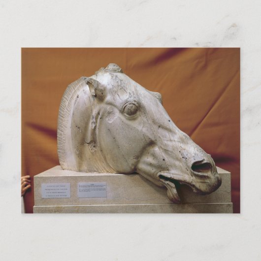 セレーネの馬の頭 ポストカード (正面)