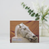 セレーネの馬の頭 ポストカード (スタンド正面)