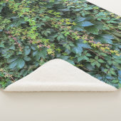 セレーネグリーンアイビーウォールつるズつる植物プラント離れ シェルパブランケット (3/4)