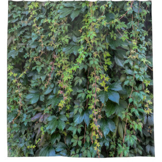 セレーネグリーンアイビーウォールつるズつる植物プラント離れ シャワーカーテン