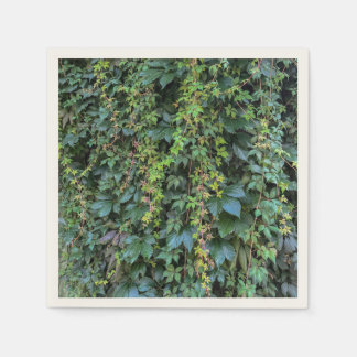 セレーネグリーンアイビーウォールつるズつる植物プラント離れ スタンダードカクテルナプキン