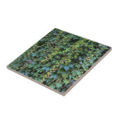 セレーネグリーンアイビーウォールつるズつる植物プラント離れ タイル (側面)