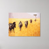 セレーネサファリ – 黄金の草原のシマウマ キャンバスプリント (正面)