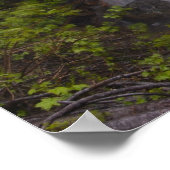 セレーネ ポスター (角)