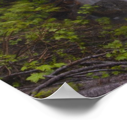 セレーネ ポスター (角)