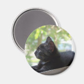 セレーネ マグネット (正面/裏面)