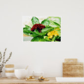 セロシア/コックコーム ポスター (キッチン)