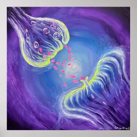 セロトニン再取り込み ポスター (正面)