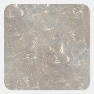 セロハン澄ん写真パターン スクエアシール