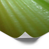 セロリとニンジンのポスター ポスター (角)