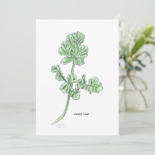 セロリの葉 招待状 (スタンド正面)