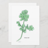 セロリの葉 招待状 (正面/裏面)