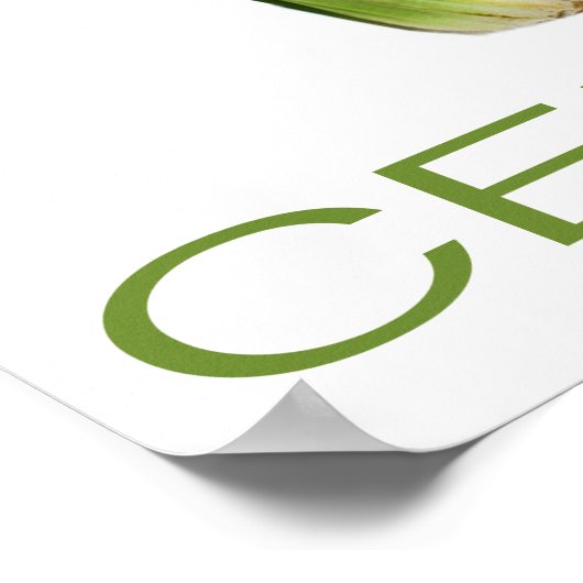 セロリポスター ポスター (角)