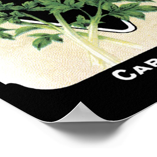 セロリーグリーンカードシード株式会社フレドニア， NYヴィンテージ ポスター (角)