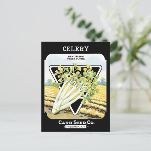 セロリーシードパケットヴィンテージ野菜フレドニアNY ポストカード (スタンド正面)