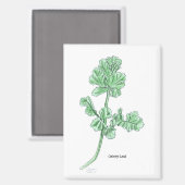 セロリーリーフ マグネット (正面/裏面)