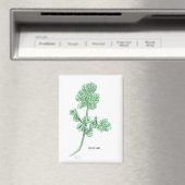 セロリーリーフ マグネット (インサイチュ (食洗機))