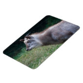 セロ日本のウ マグネット (左側)