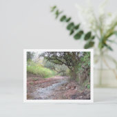 セロ・コロラド ポストカード (スタンド正面)