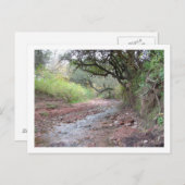 セロ・コロラド ポストカード (正面/裏面)