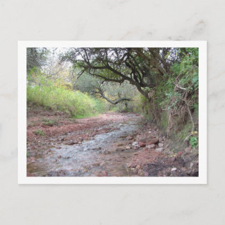 セロ・コロラド ポストカード