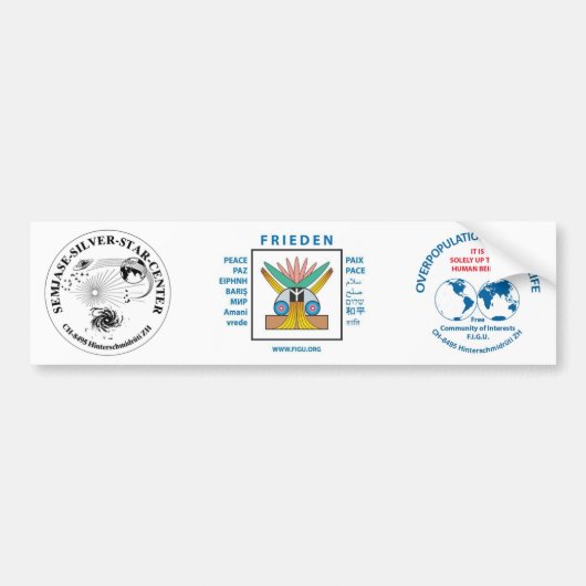 センジャースシルバースターセンターバンパーステッカー バンパーステッカー (正面)