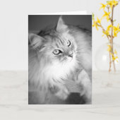 センセーショナルなシベリア空白のカード カード (黄色い花)