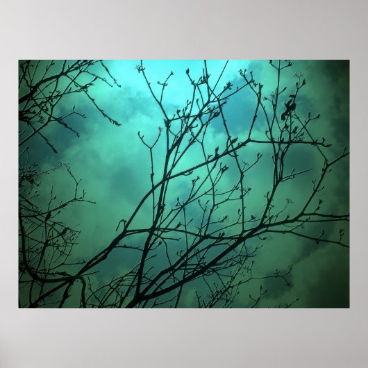 センターアイランドファンタジースカイライン – トロント ポスター (正面)