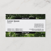 センターバンド5スポットワイルドガーリック 名刺 (裏面)