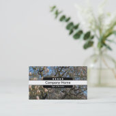 センターバンド5スポット – 花の木々マグノリア 名刺 (スタンド正面)