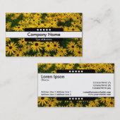 センターバンド5スポット – 黒い目のサザンズ 名刺 (正面/裏面)