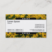 センターバンド5スポット – 黒い目のサザンズ 名刺 (裏面)