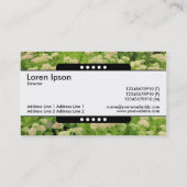 センターバンド5点 – セダム(秋の喜び) 名刺 (裏面)