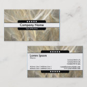 センターバンド5点 – フラクタルフレーム 名刺 (正面/裏面)