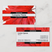 センターバンド5点 名刺 (正面/裏面)