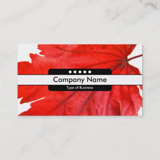 センターバンド5点 名刺 (正面)