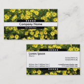 センターバンド5点 – 黄デイジー 名刺 (正面/裏面)
