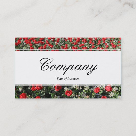 センターバンド（エッジ） – スクリプト – 赤いチューリップとプリム 名刺 (正面)